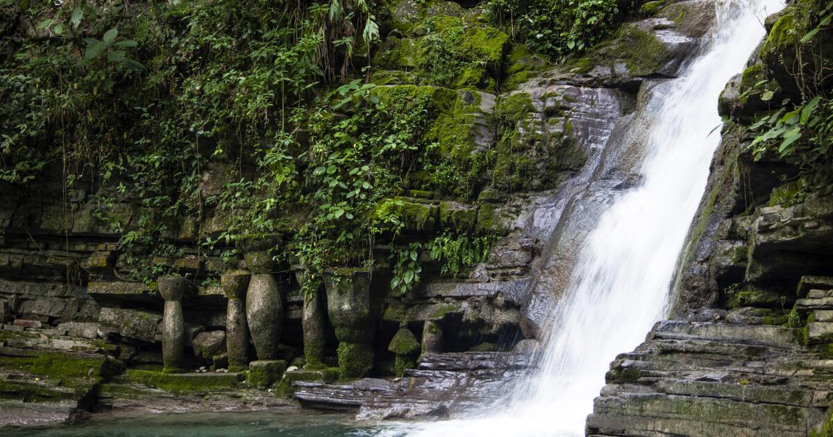A Mexico road trip led us to Las Pozas' secret jungle garden - Los